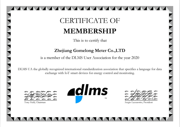 Gefeliciteerd: GOMELONG HEEFT HET LIDMAATSCHAP VAN DLMS User Association